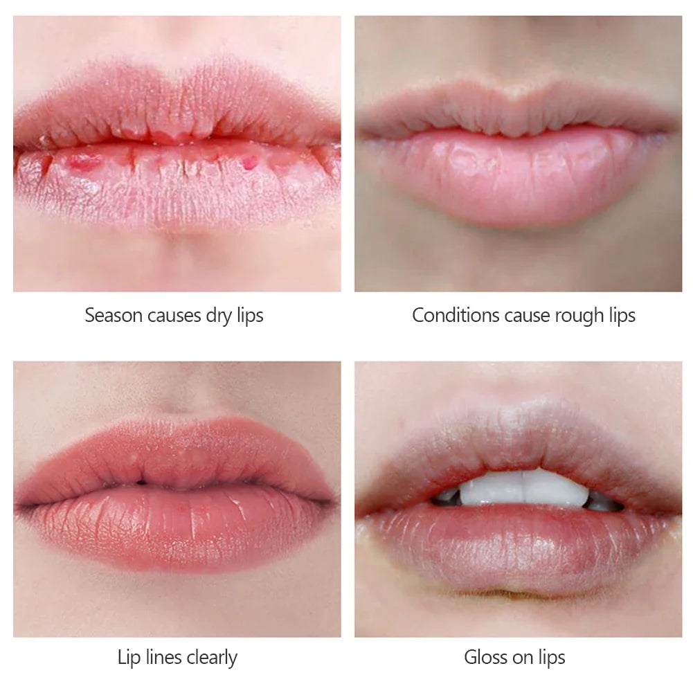 Sphere Lip Balm